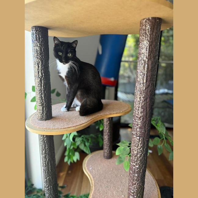 Photo of Stella 🌹