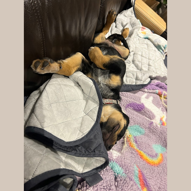 Photo of Narla