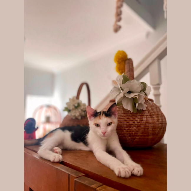 Photo of Penelope