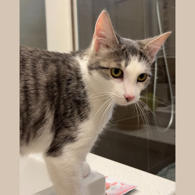 Photo of Annie