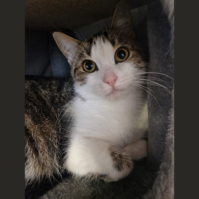 Photo of Miki   Mowbray