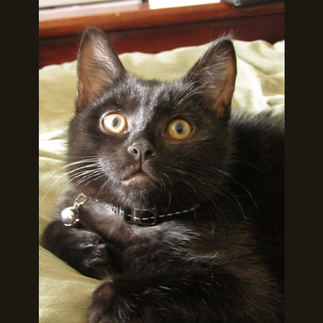 Photo of Espresso 