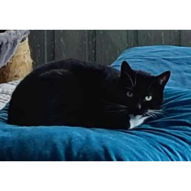 Photo of 8999   Yubaba