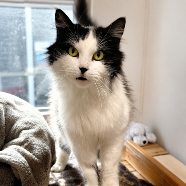 Photo of Nikita