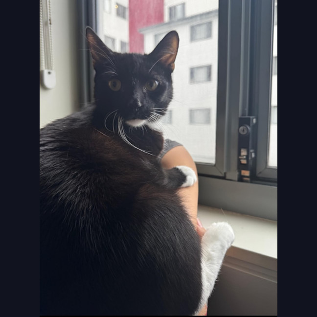 Photo of Quincy