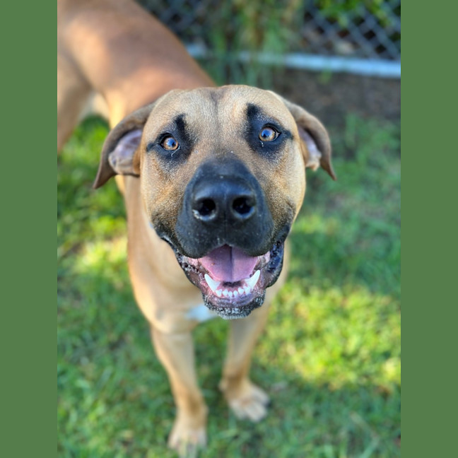 Photo of Rocko