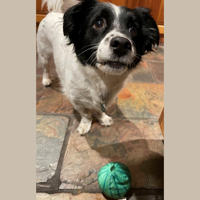 Photo of Sam Jablonski