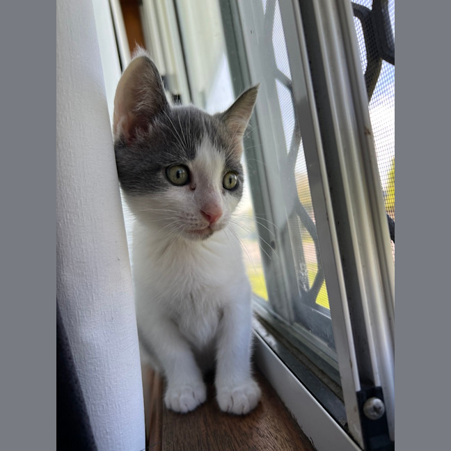 Photo of Spike