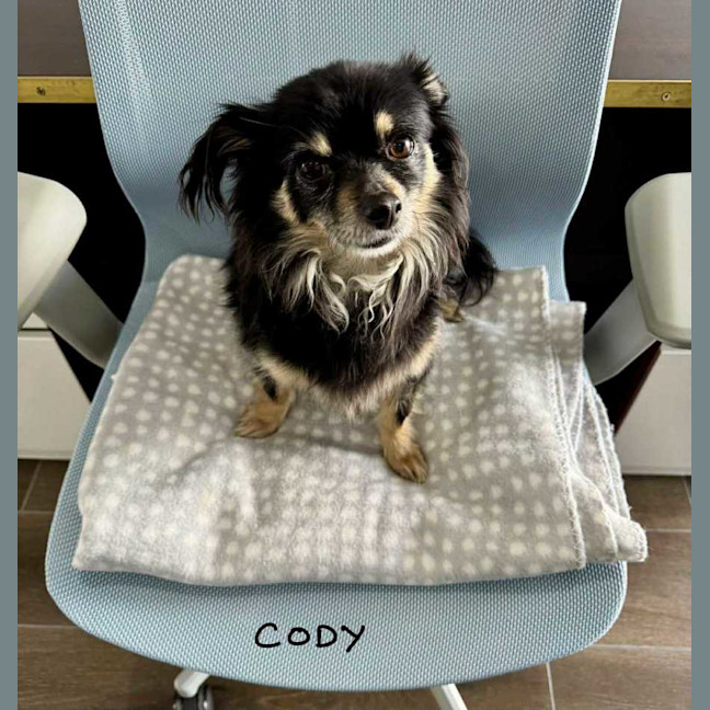 Photo of Cody And Little One