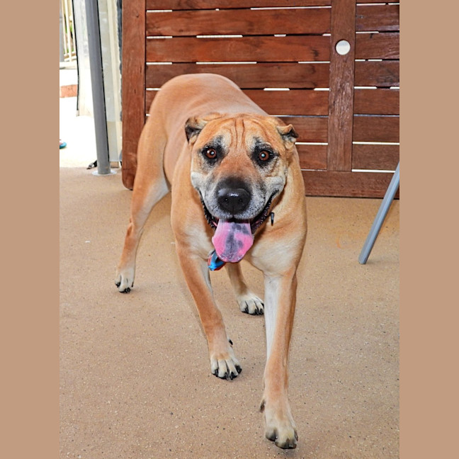 Photo of Mama Mia