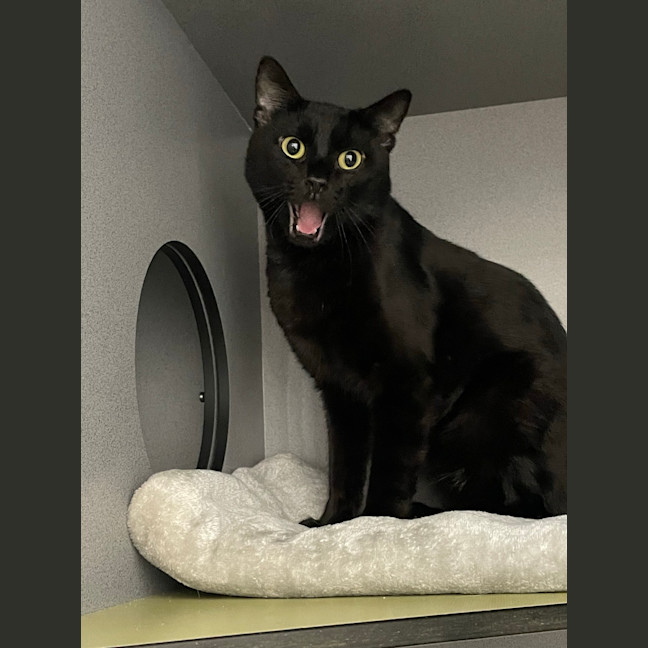 Photo of Lenny