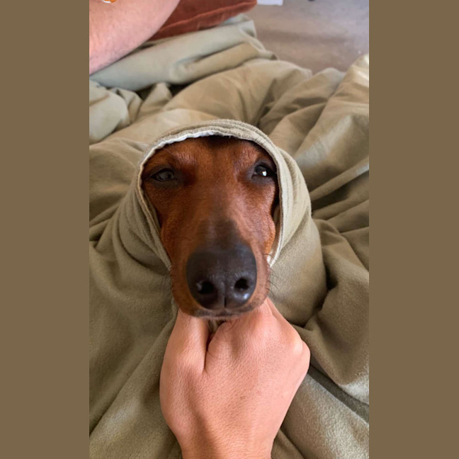 Photo of Hazel And Ernie