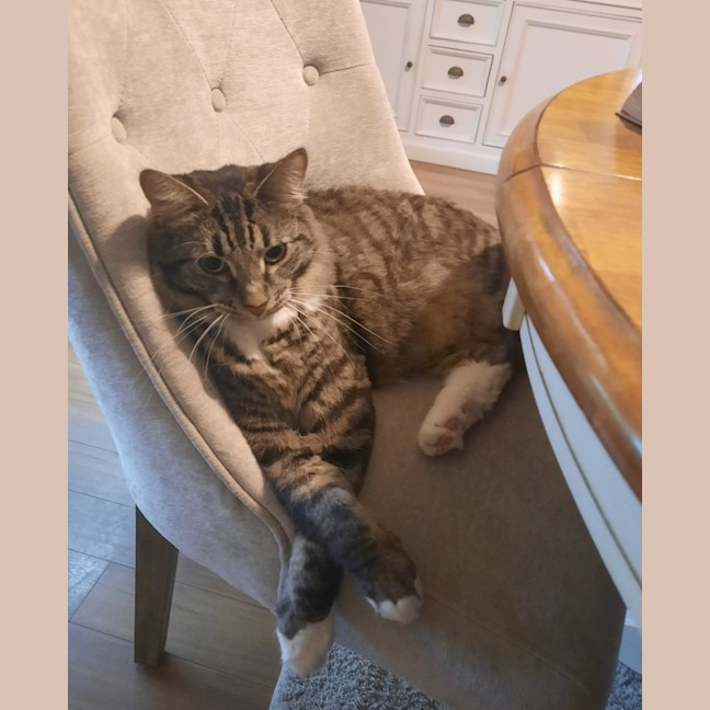 Photo of Tommy