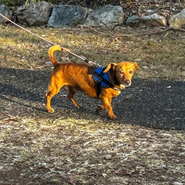 Photo of Solo