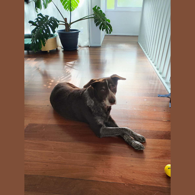 Photo of Hugo 