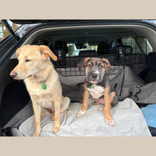 Photo of Russel Dara