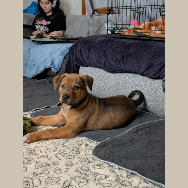 Photo of Ragnar