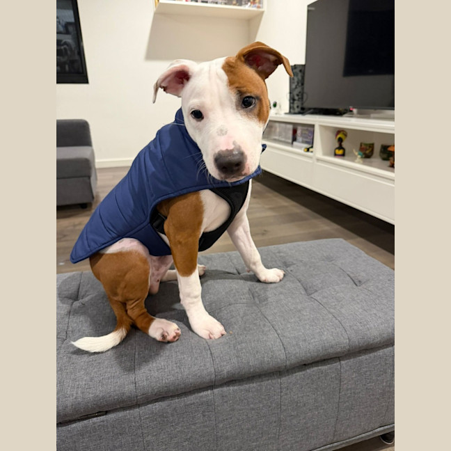 Photo of Cookie Oliver