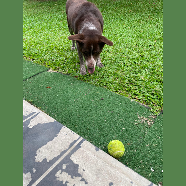 Photo of Hugo 