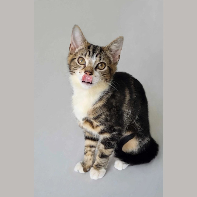 Photo of Elliette 