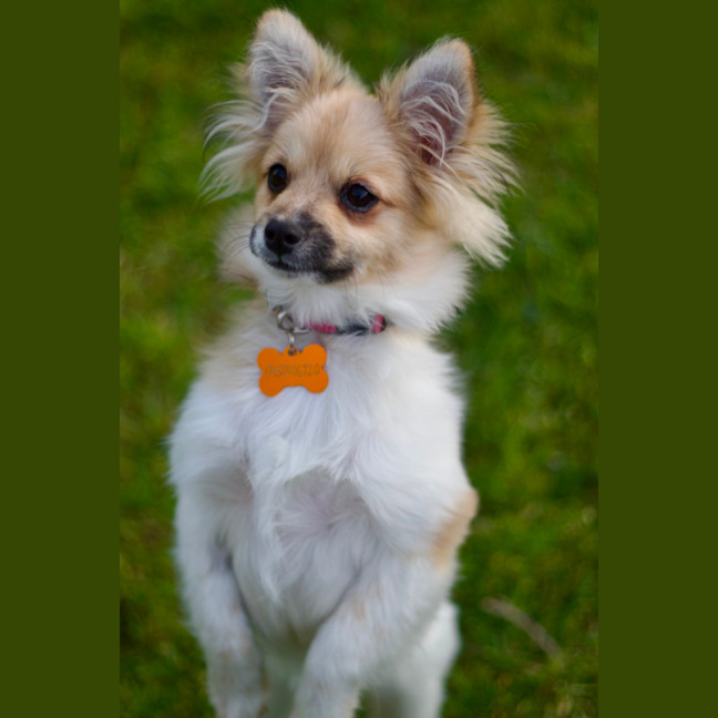 Photo of ☀️ Sonny ☀️