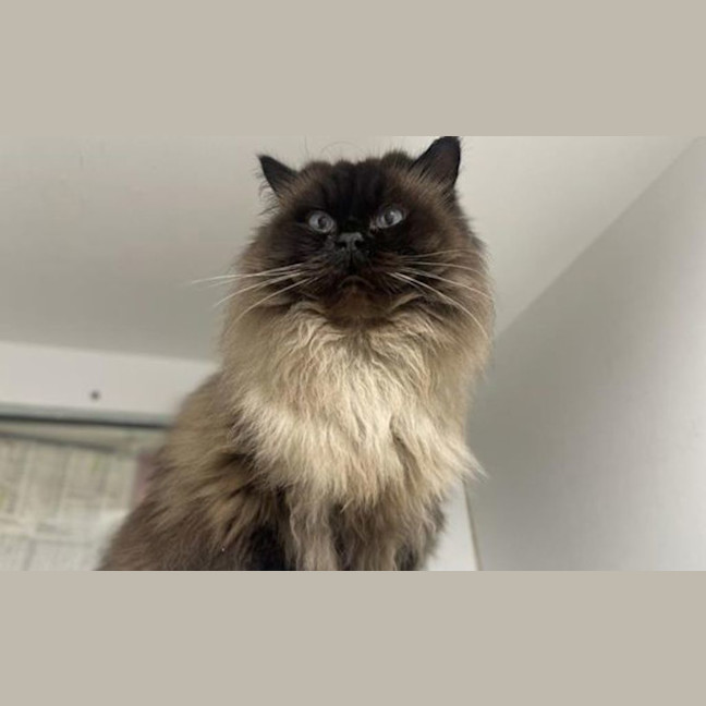 Photo of Winnie