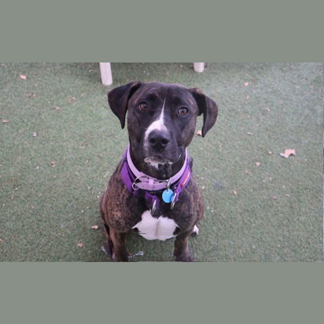 Photo of Lilah