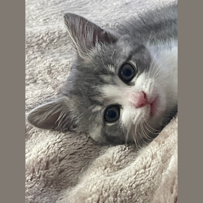 Photo of Minnie Mimi
