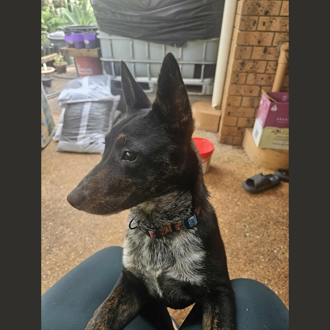 Photo of Matilda