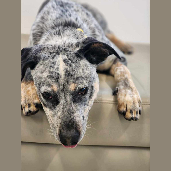 Photo of 🥏 Jude 5465 🥏