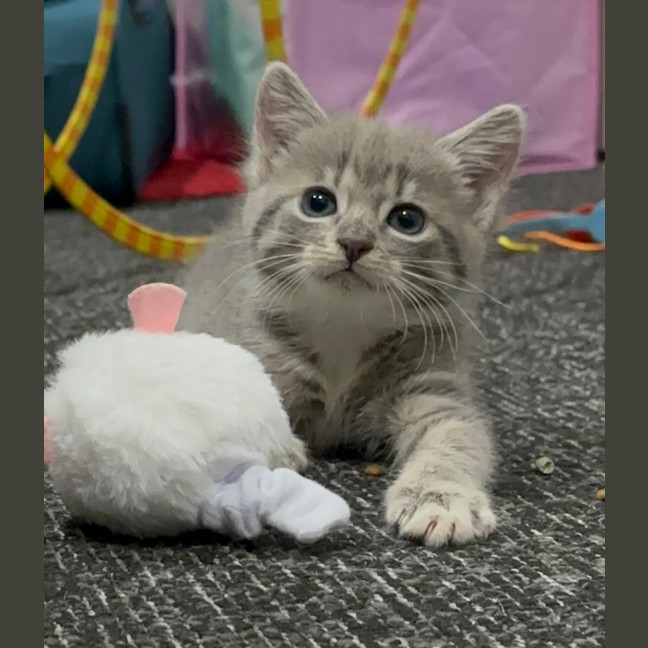 Photo of Winny