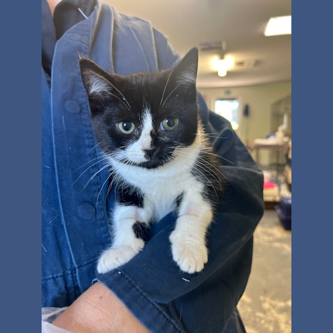 Photo of Lilibet