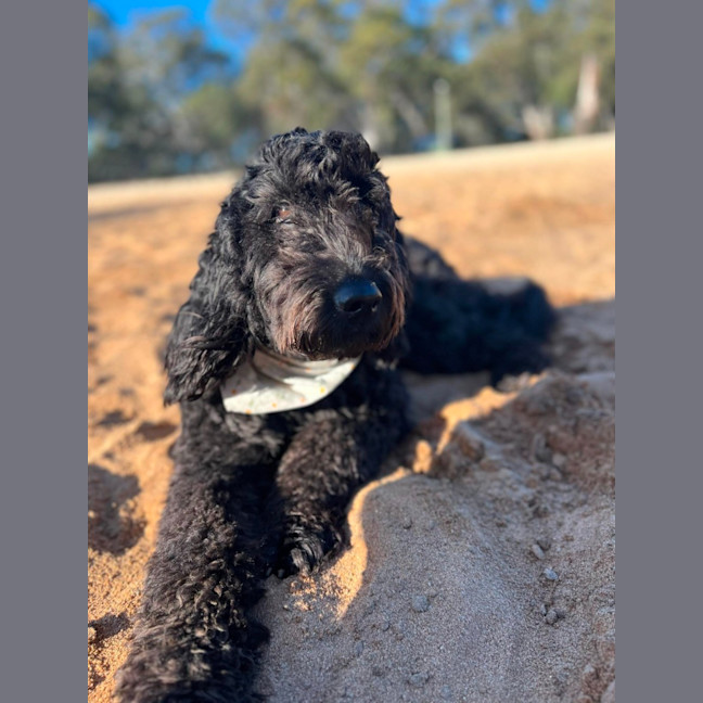 Photo of Ruby