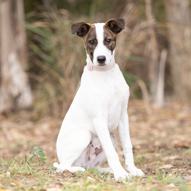 Photo of Zeus