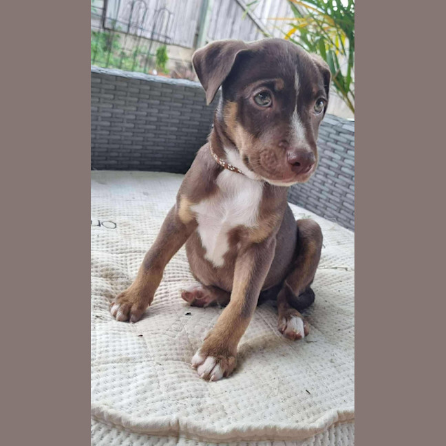 Photo of Hazel