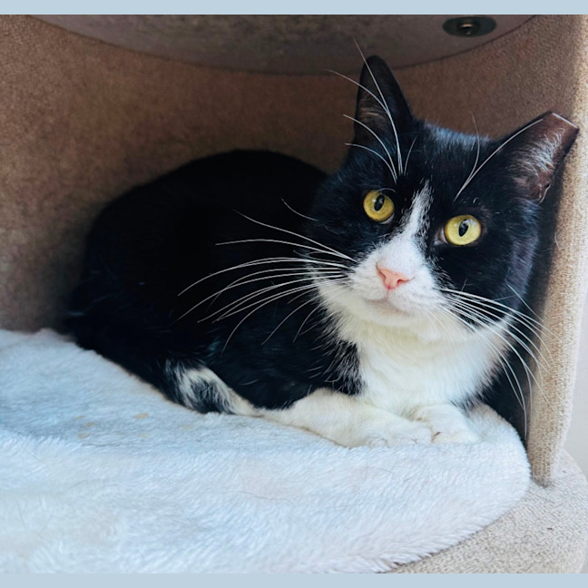 Photo of Gatsby 🌟