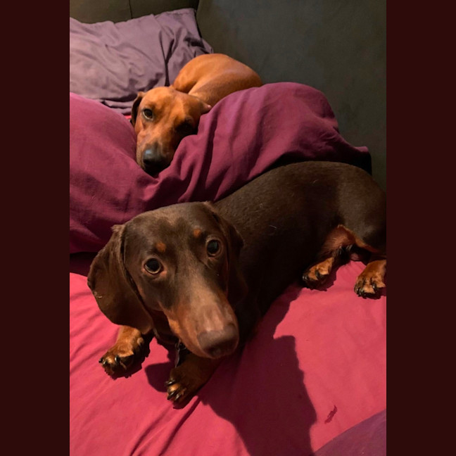 Photo of Max And Teddy