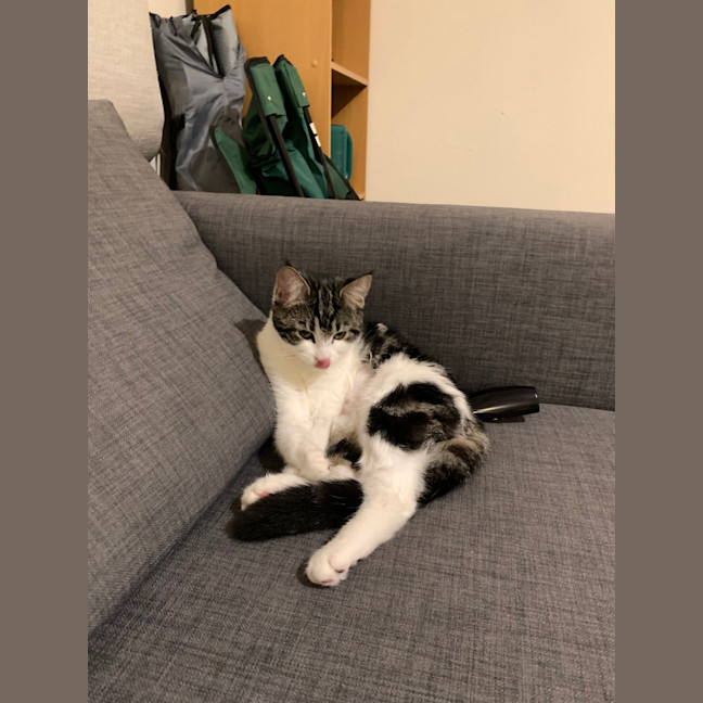 Photo of Poppy (Was Betty)