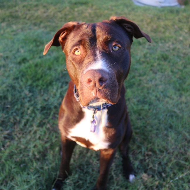 Photo of Molly