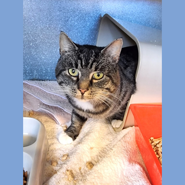 Photo of Boots