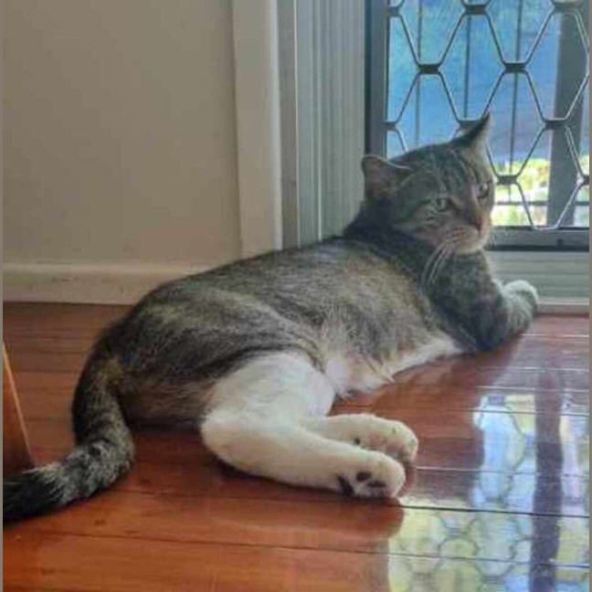 Photo of Josie