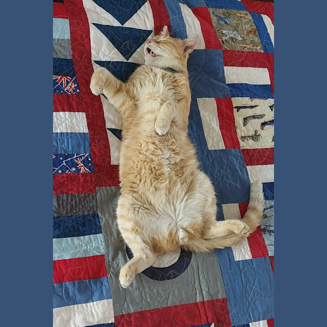 Photo of Jasper