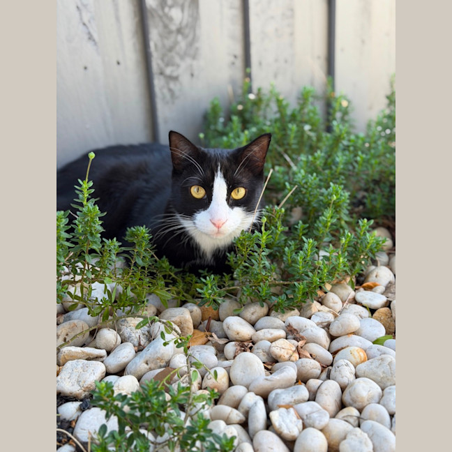 Photo of Fifi