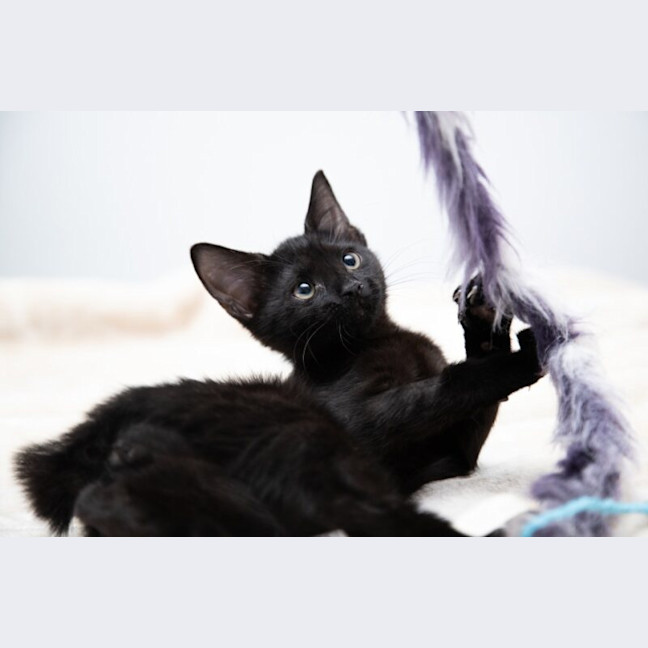Photo of Lucien