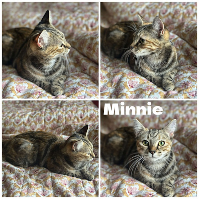Photo of Minnie