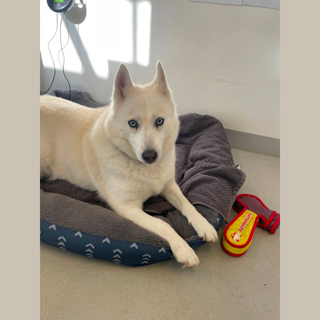 Photo of 🌻 Maya 5035 🌻