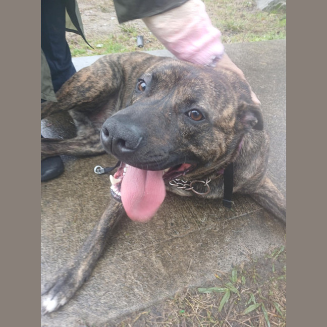 Photo of Trooper