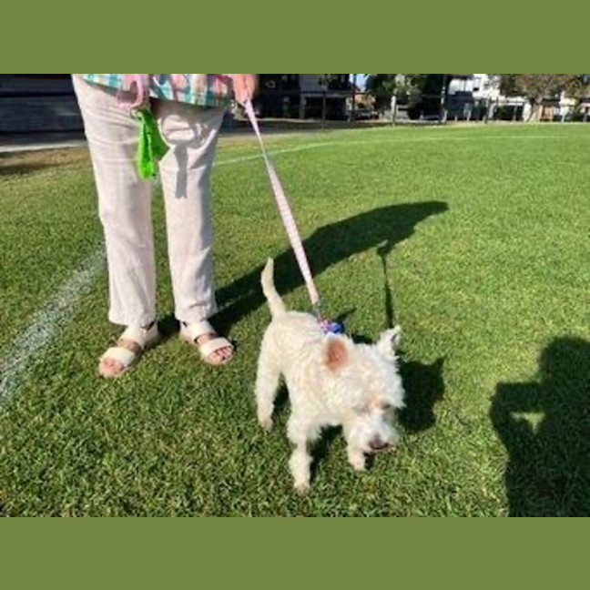 Photo of Lily Peggotty