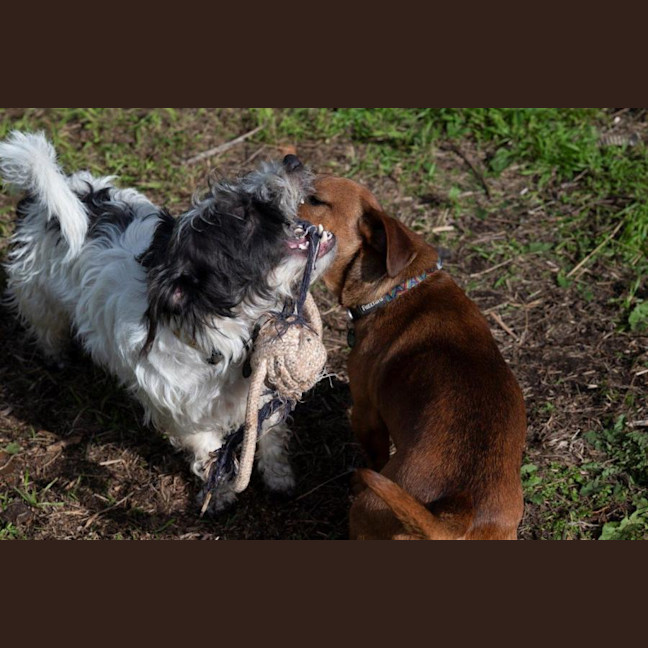 Photo of Bean And Dunkin Russelton