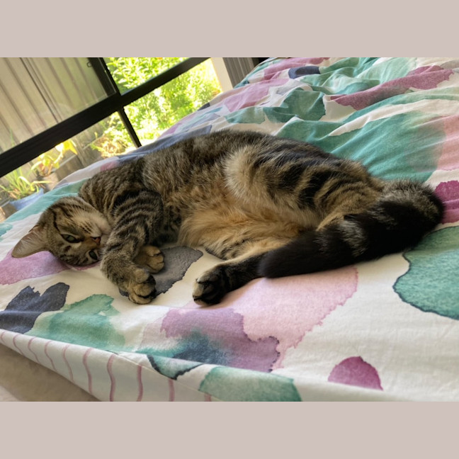 Photo of Luna